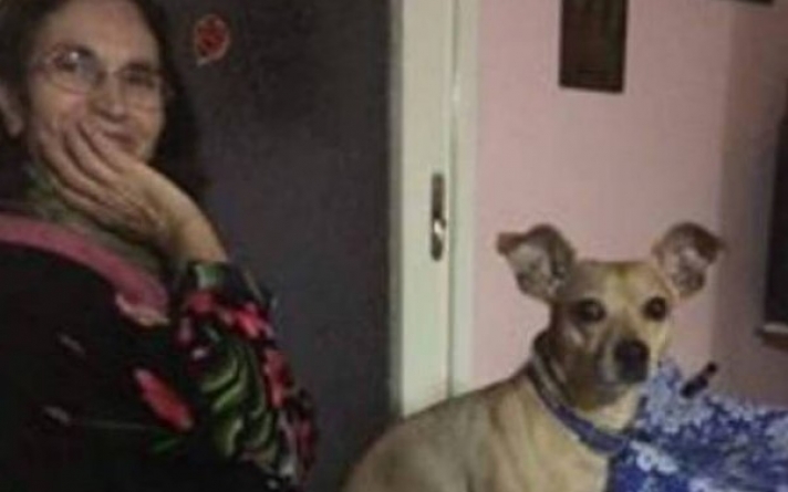 Τραγωδία στον Υμηττό: Σκύλος έμεινε 4 ημέρες πλάι στο σώμα της αφεντικίνας του