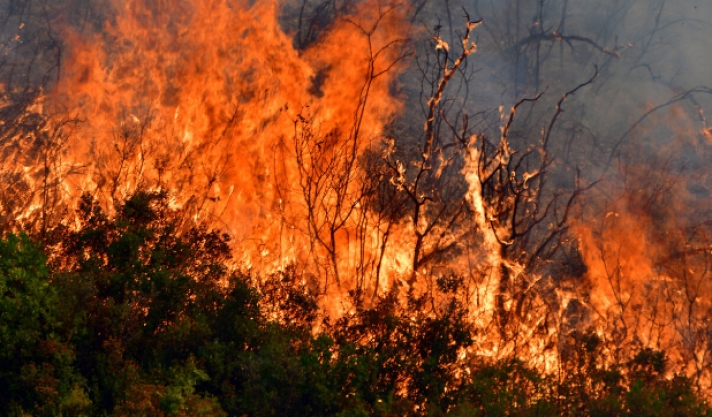 «Μάχη» με τις φλόγες στο δάσος της Δαδιάς του Έβρου