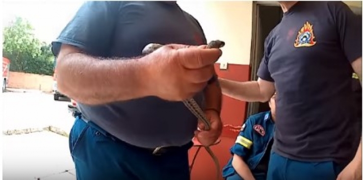 ΒΙΝΤΕΟ - Βρήκαν φίδι στο μπαλκόνι τους στον… 3ο όροφο