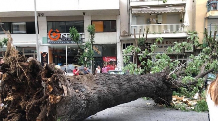 Φωτογραφίες: Δέντρο έπεσε πάνω σε δύο Ι.Χ. στο κέντρο της Θεσσαλονίκης