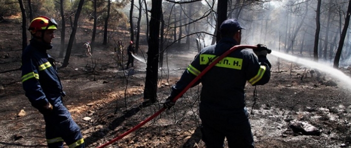 Πυροσβεστική: Τι να προσέξετε για να αποφύγετε τις δασικές πυρκαγιές