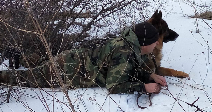 Οι στρατιωτικοί σκύλοι που φυλάνε τα σύνορα της Ελλάδας