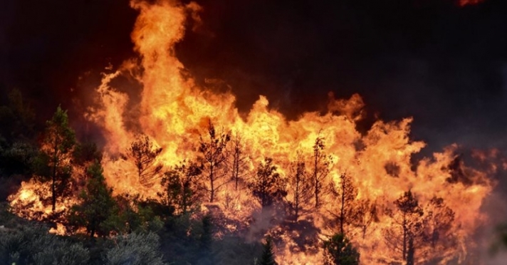 Εκτός ελέγχου η φωτιά στην Πεντέλη - Εκκενώνεται ο Νέος Βουτζάς - Κάηκαν σπίτια και αυτοκίνητα στο Μάτι