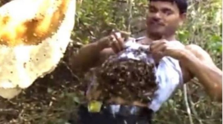 Στην Ινδία Απίστευτο: Έβαλε εκατοντάδες μέλισσες κάτω από τη φανέλα του για να δείξει ότι έχει... αυτοέλεγχο