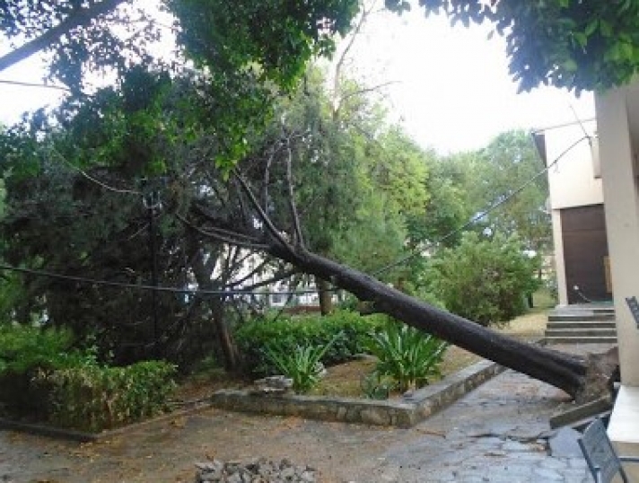 ΜΕΣΣΗΝΗ - Καταστροφές από την σφοδρή καταιγίδα