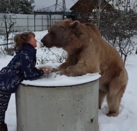 Αρκούδα τρώει πρωινό από την φίλη της .... Βίντεο