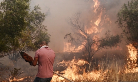 Φωτιά στη Φυλή: Βίντεο πολιτών με την επέλαση της πυρκαγιάς - «Σε λίγες ώρες νυχτώνει και θα είναι ανεξέλεγκτη»